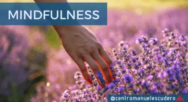 Qué es el mindfulness: reduce el estrés y la ansiedad